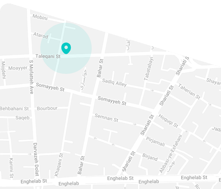 map mobile